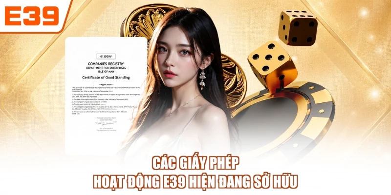 Các giấy phép hoạt động E39 hiện đang sở hữu