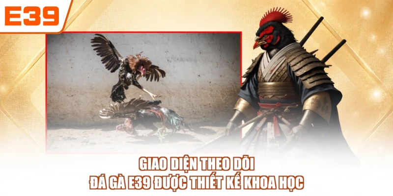 Giao diện theo dõi Đá gà E39 được thiết kế khoa học