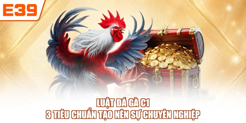 Luật Đá Gà C1 - 3 Tiêu Chuẩn Tạo Nên Sự Chuyên Nghiệp