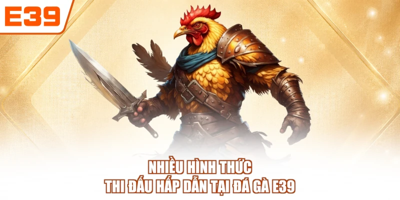 Nhiều hình thức thi đấu hấp dẫn tại Đá gà E39